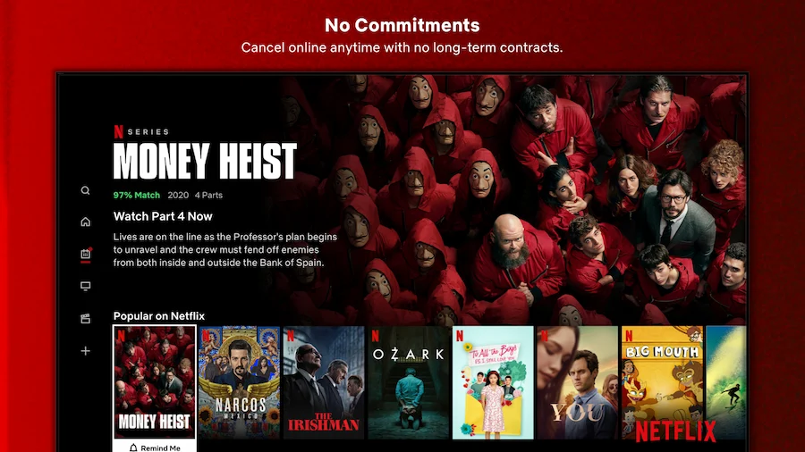 Netflix- SaaS Services